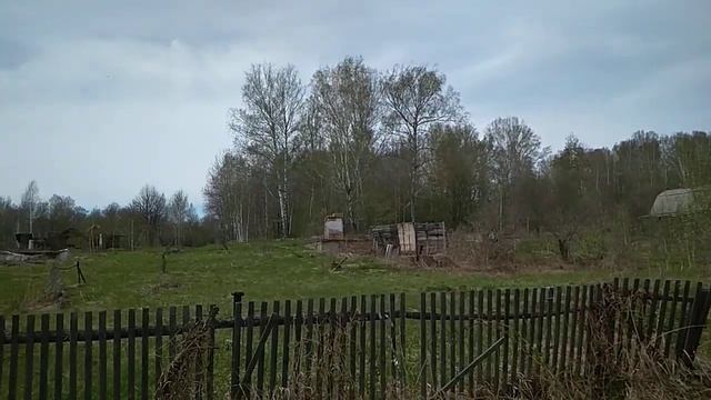 Кедры на дачах смотреть онлайн