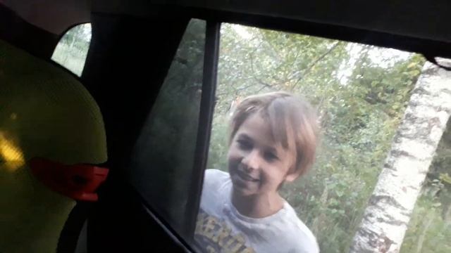 Сетка Laitovo в салон авто для защиты от комара, гнуса и прочих летучих тварей. смотреть онлайн