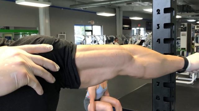 What A Biceps Split Looks like смотреть онлайн