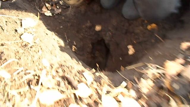 С ягдтерьером на барсука. смотреть онлайн