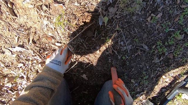 LIVE DIG ACTION!! Nokta Legend 20khz on the side yard.