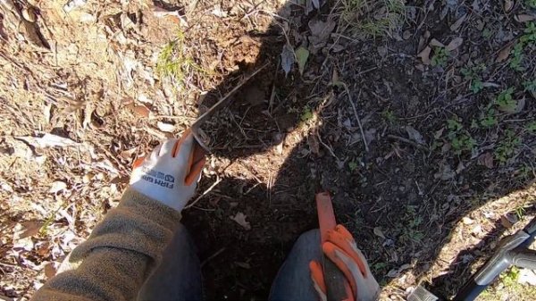 LIVE DIG ACTION!! Nokta Legend 20khz on the side yard.