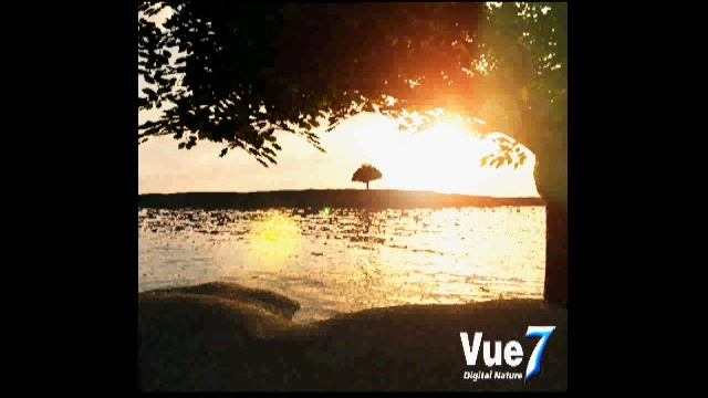 My First Vue Projects смотреть онлайн