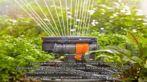 Как выбрать насос для огорода правильно?
