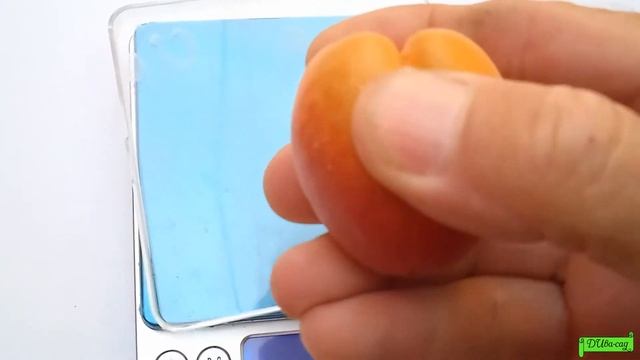 Абрикос Цунами поспел, супер ранний сорт, Астрахань 2022г. смотреть онлайн