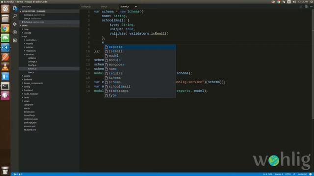 Learn MEAN STACK Using Wohlig Node Framework Creating Schema PART-4 смотреть онлайн