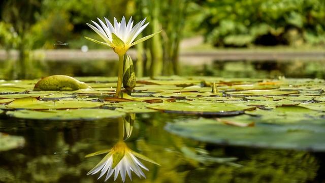 Кого Можно Любить смотреть онлайн
