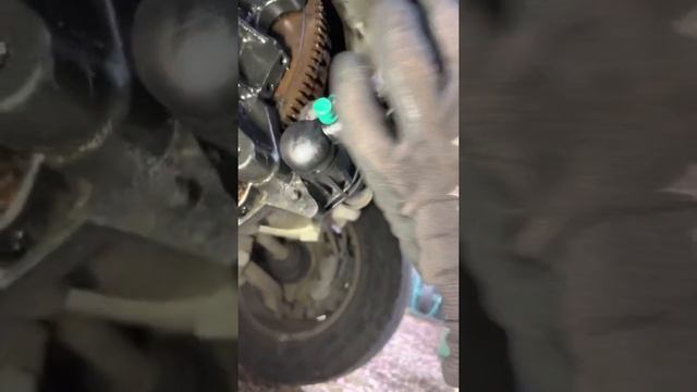 Peugeot Fiat PSA 2.0 HDI Timing Belt Change DW10 смотреть онлайн