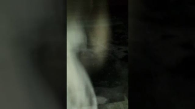 Ледорубы) прикол в басейне) смотреть онлайн