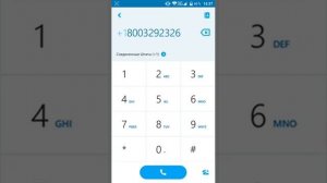 Звонок в пиццерию Фредди через Skype