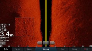 Garmin  GT34   Смена датчика с 56го на 34й .янтарная палитра,рыбка,заросли травы...
