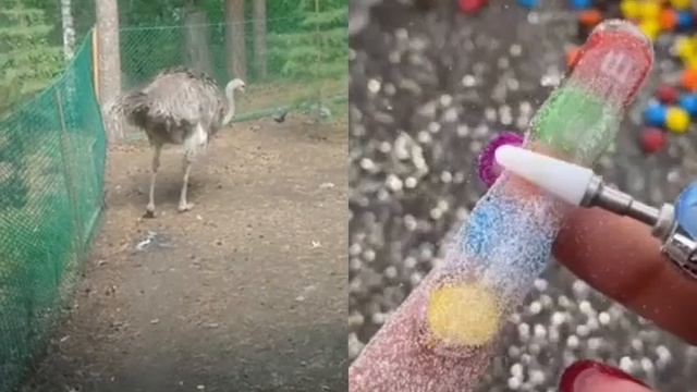 ногти в стиле М энд ЭМС смотреть онлайн