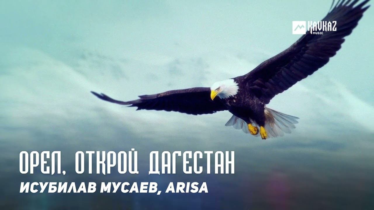 Исубилав Мусаев, ARISA - Орел, открой Дагестан | DAGESTAN MUSIC смотреть онлайн