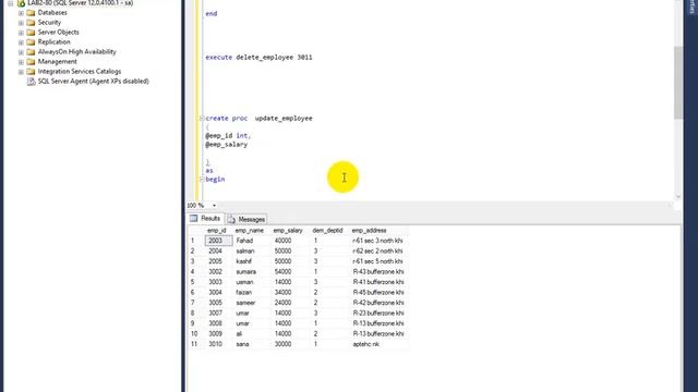 Learn Sql server in hindi/urdu part-13 (Delete and Update using Store Procedure) смотреть онлайн