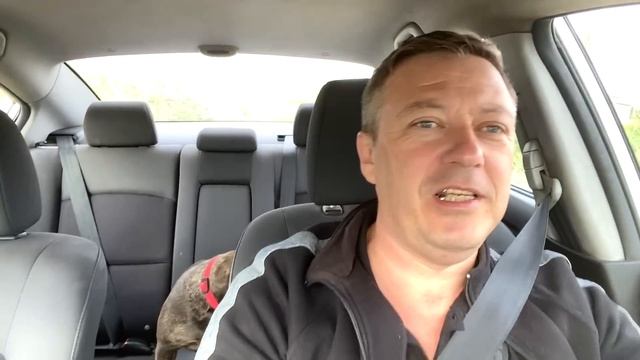 тут ТЫРИЛ ХЛЕБ и подглядывал за обнаженными ДАМАМИ / везём гостинцы МАМОЧКЕ смотреть онлайн
