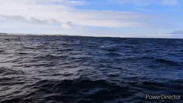 Морская рыбалка. Баренцево море. 9 мая 2021 год. смотреть онлайн