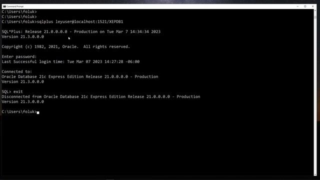 Connect to your Oracle PDB смотреть онлайн