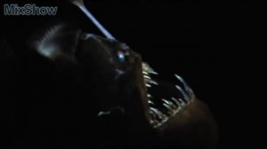 5 Самых Жутких Глубоководных Рыб в Мире 1 часть