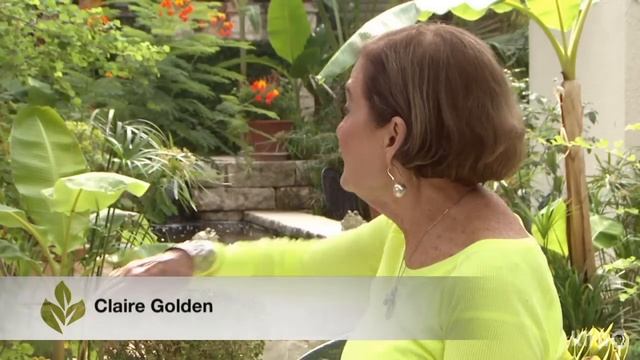 Spanish courtyard garden San Antonio : Claire Golden | Central Texas Gardener смотреть онлайн