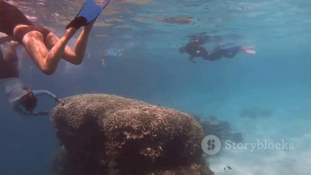 Lakshadweep Unveiled Paradise in the Arabian Sea смотреть онлайн