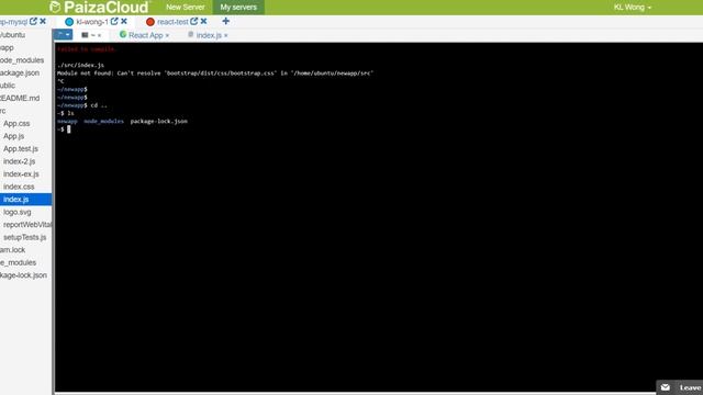 Create ReactJS app on PaizaCloud 4 - Add Bootstrap index.js and fix errors смотреть онлайн