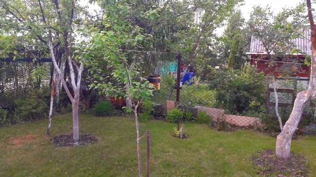 Без Слов, Полный Релакс, Тишина, Красота Природы и Пение Птиц на Даче 20 мая 2021 года. #пениептиц