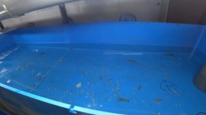 УЗВ для рака. Заселение.