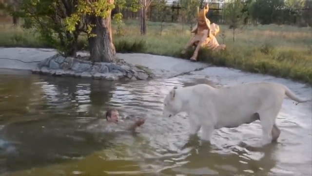 Красавица ГЕРДА ! Мечта Елены Куловой ! смотреть онлайн