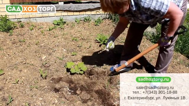 КОРНЕУДАЛИТЕЛЬ ГЕРКУЛЕС. КАК ЛЕГКО И БЫСТРО УДАЛИТЬ КОРЕНЬ СОРНЯКА. смотреть онлайн