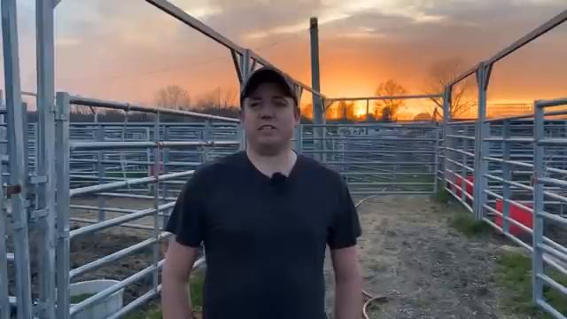 Update from Jason at the Auction! смотреть онлайн