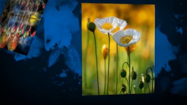 поздравление тренеру с днем рождения смотреть онлайн