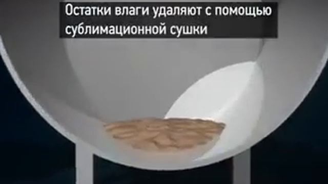 Як ховатимуть небіжчиків у майбутньому смотреть онлайн