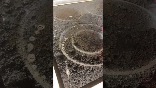 Чем и как отмыть стеклокерамическую плиту/ варочную панель за 5 минут смотреть онлайн