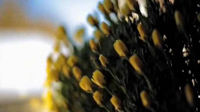 нужен мне ,один лишь ты мне очень нужен смотреть онлайн