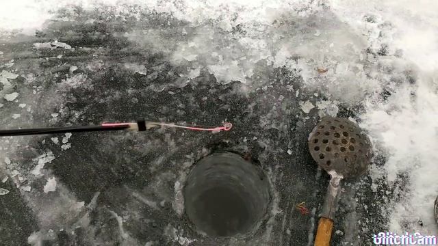 Рыбалка в Подкаменном на леща смотреть онлайн