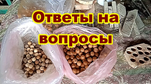 Ответы на вопросы по изготовлению деревянных бусин..mp4