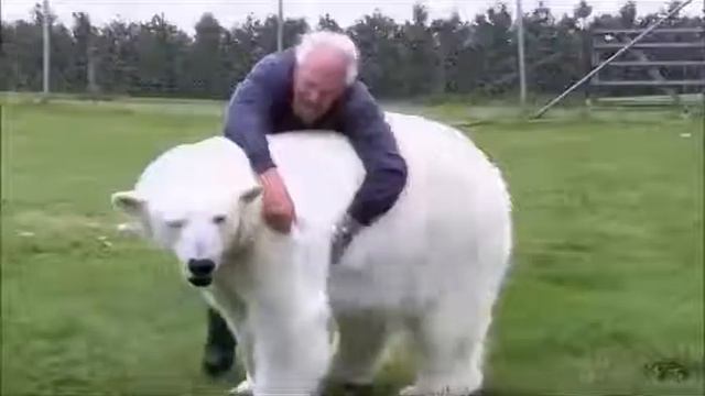 Prima ZOOM смотреть онлайн