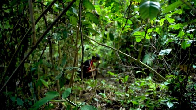 Find a lot of gold when digging in the forest to looking for food, Survival Chalenges, ep4 смотреть онлайн