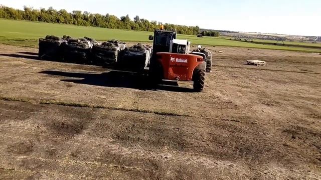 Как делают рулонный газон в селе Ташла смотреть онлайн