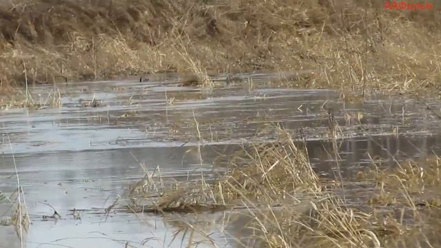 Весенний сплав 2021.Часть вторая. смотреть онлайн