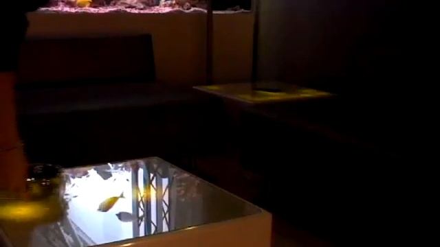 React Tile смотреть онлайн