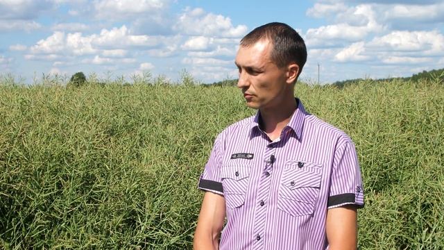 ?РАПС и СТЕБЛЕВОЙ скрытнохоботник. Опасен ли? смотреть онлайн