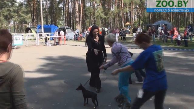 Лучший юниор смотреть онлайн