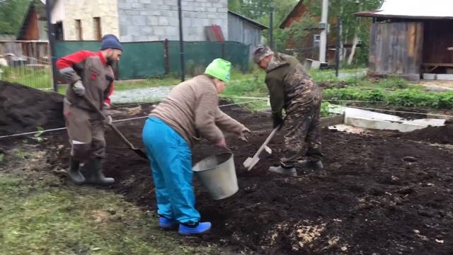Грядки из шифера ✅ посадка картошки и цветов, первые результаты Дача Июнь 2022 СНТ Автотранспортник смотреть онлайн