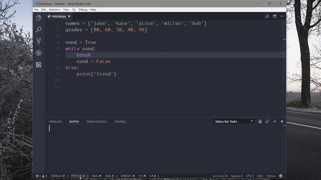 25 - Iterative Loops ( for; else; break; continue; zip ) | Python Tutorials смотреть онлайн