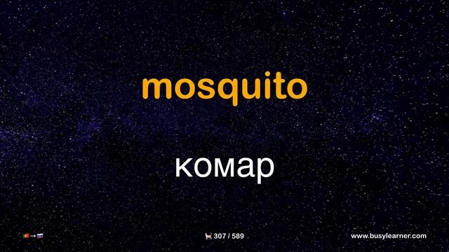 Самые важные португальские слова и фразы по темам для начинающих. Учим португальский язык легко. смотреть онлайн