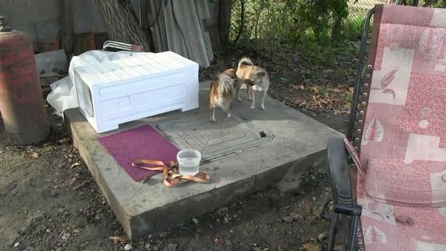 Септик смотреть онлайн