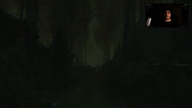 EL GRITO DEL INFRAMUNDO: The Cursed Forest смотреть онлайн