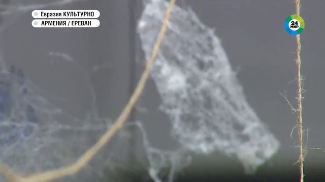 Космос в человеке как Андраник Аветисян создает картины из паутины смотреть онлайн