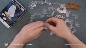 3D Crystal Owl Puzzle from BePuzzled - Solution